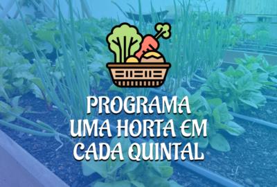 Programa uma horta em cada quintal