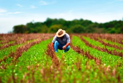 Emissão de Certificado de Cadastro de Imóvel Rural (CCIR) iniciou mais cedo